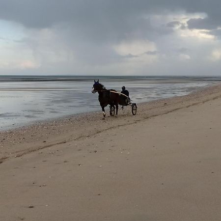 Gites "Plage" Ou "Pieds Dans L'Eau" En Front De Mer A Asnelles , 3Km D'Arromanches, 10Km De Bayeux Eksteriør bilde