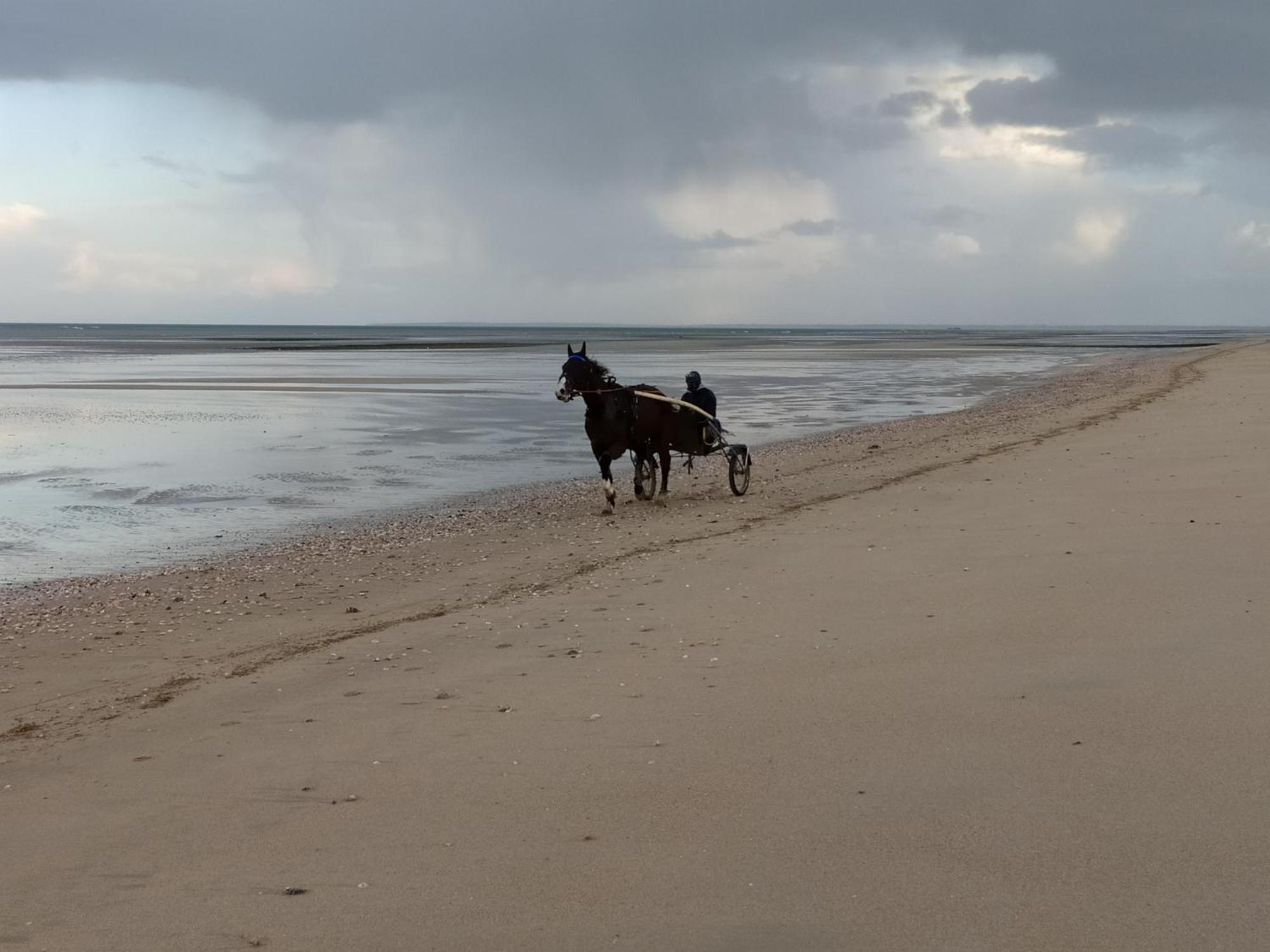 Gites "Plage" Ou "Pieds Dans L'Eau" En Front De Mer A Asnelles , 3Km D'Arromanches, 10Km De Bayeux Eksteriør bilde